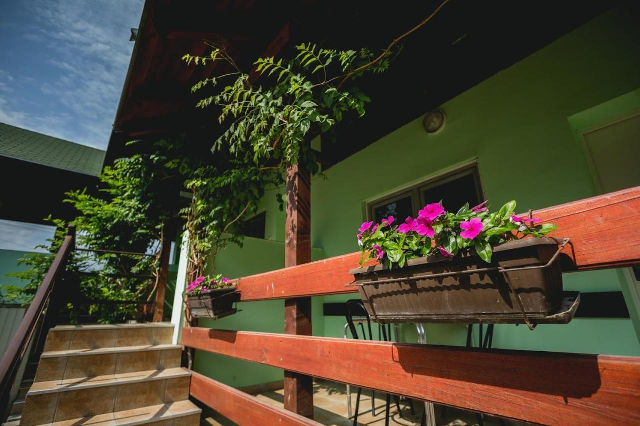 Pool And Villa Splav Dunavac Futog Экстерьер фото
