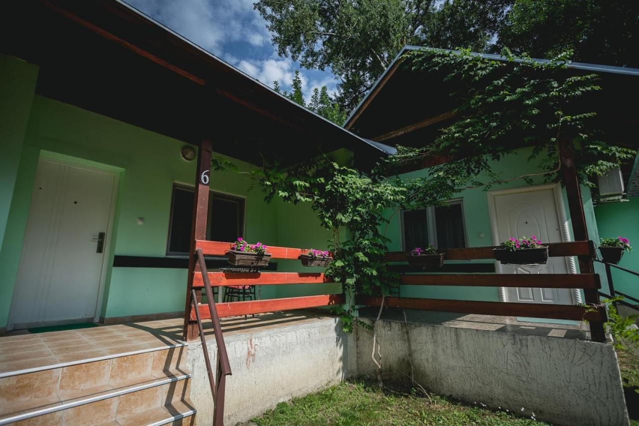 Pool And Villa Splav Dunavac Futog Экстерьер фото